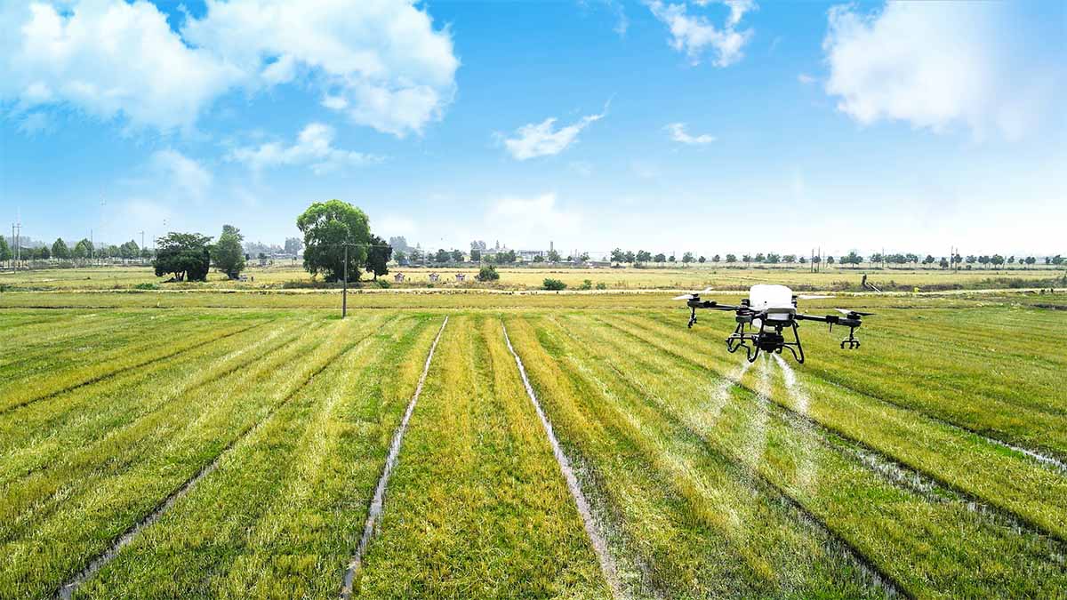Equipo de AgrodronesRD trabajando en el campo dominicano