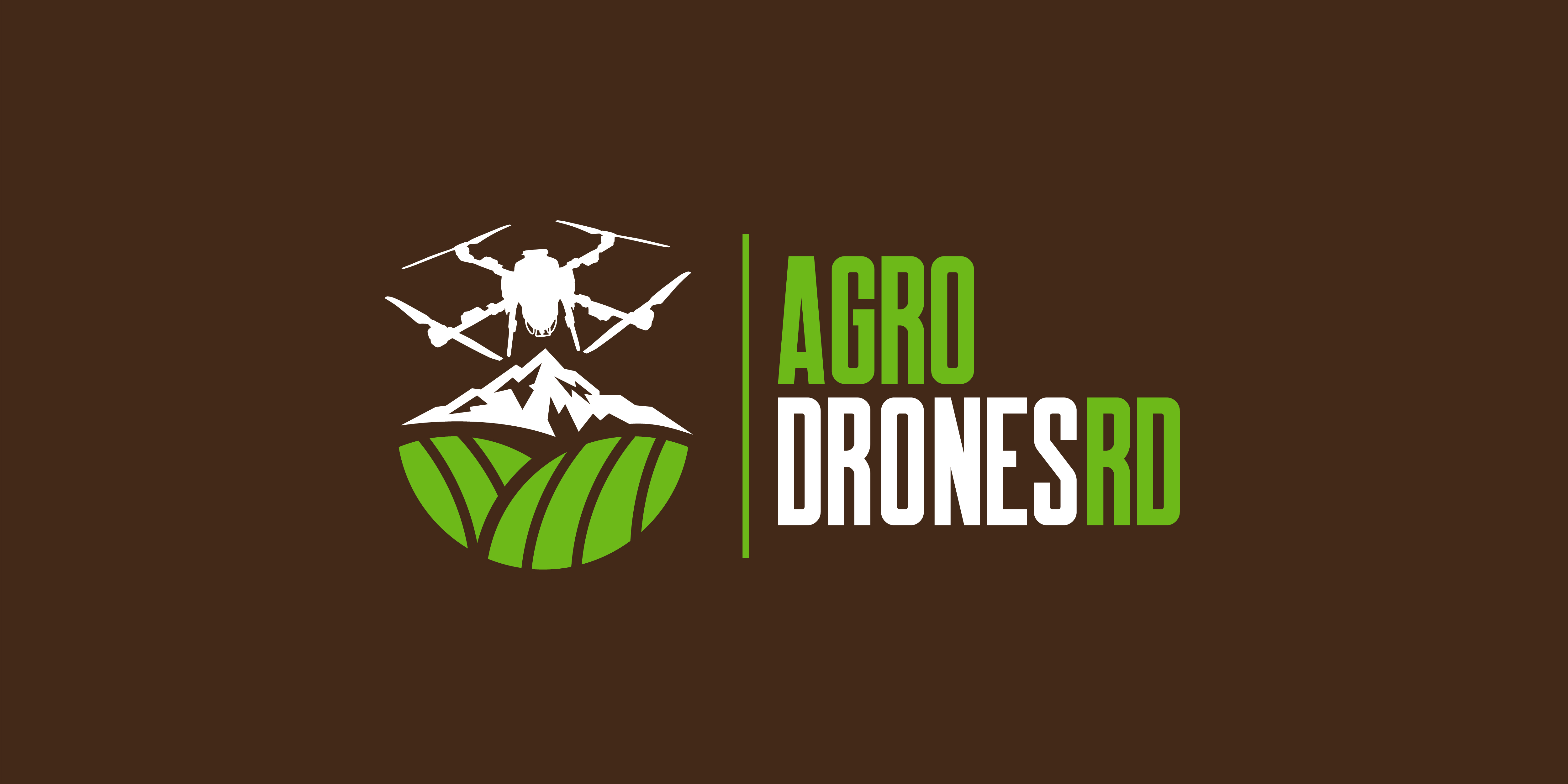 Drone 1