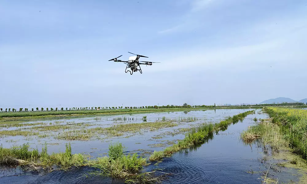 Dron suministrando alimento en estanques de peces