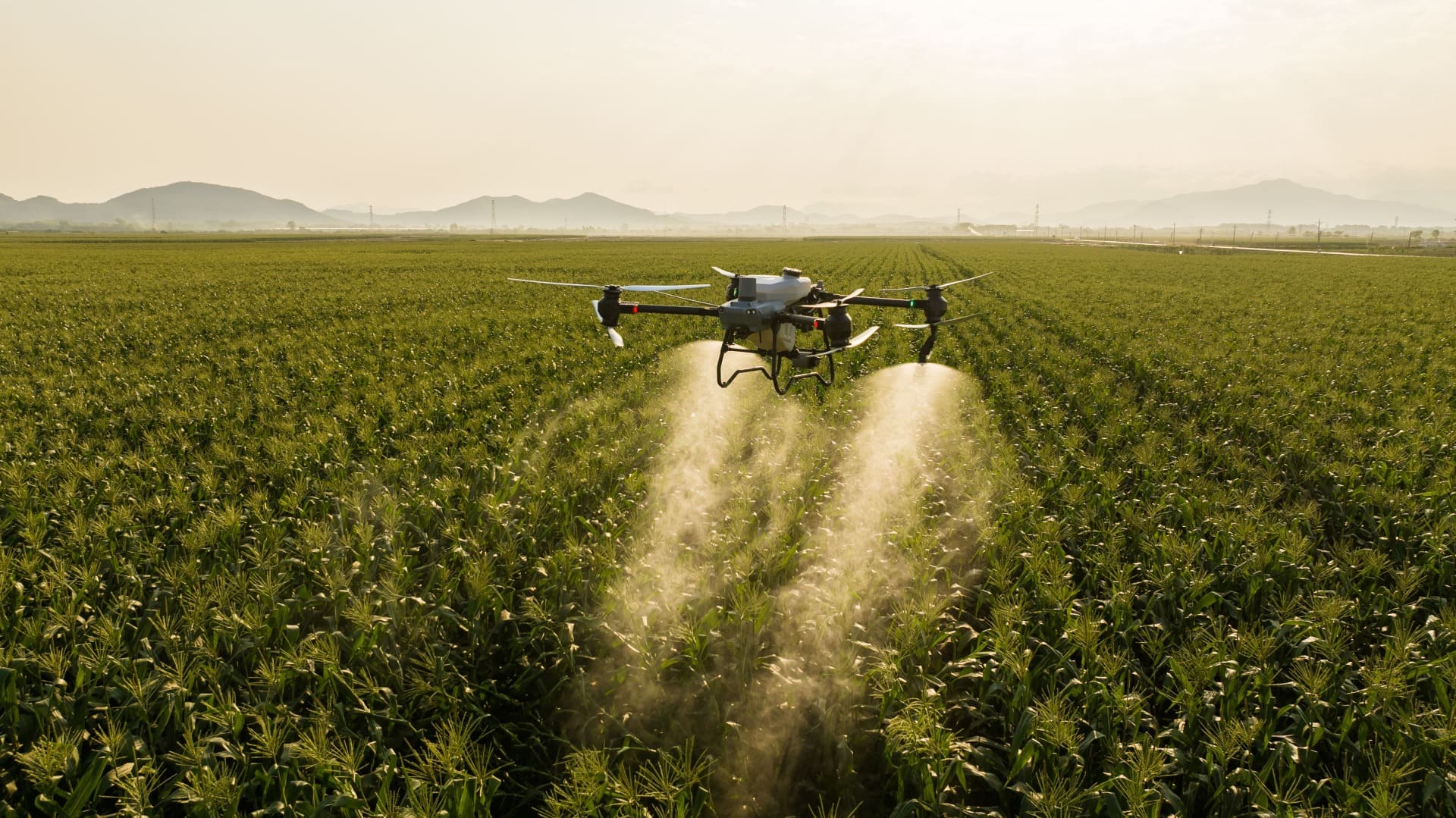 Drone realizando fumigación agrícola sobre un cultivo